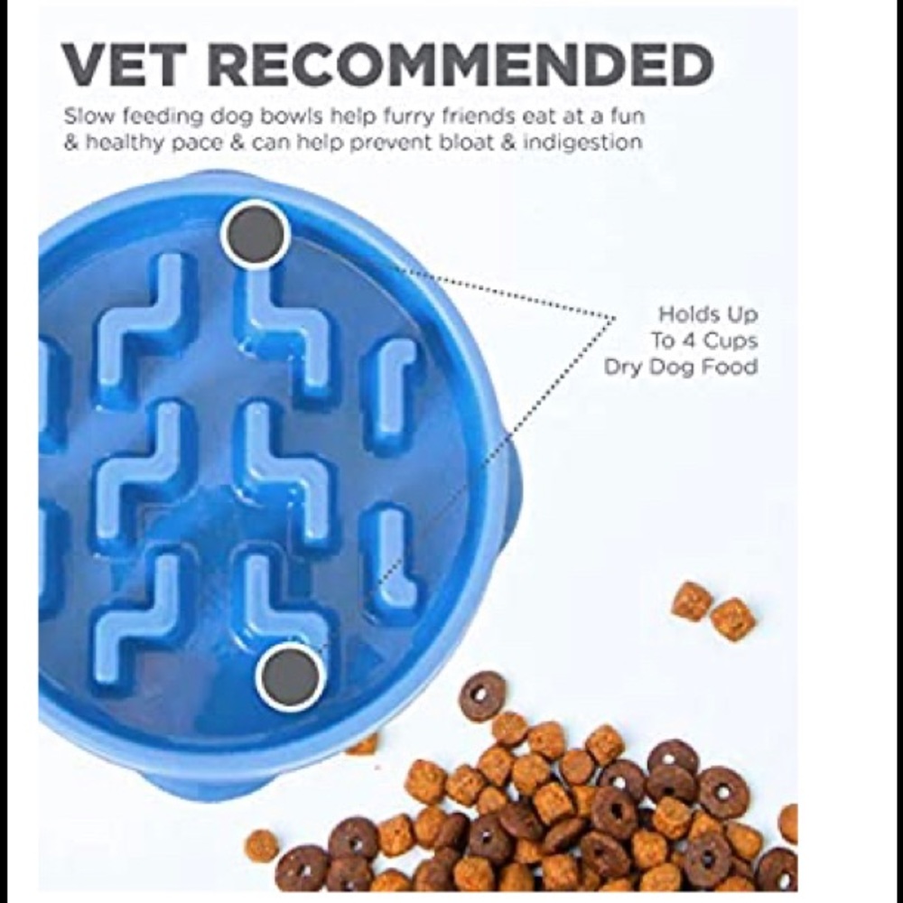 Dog feeder helps them to eat slowly